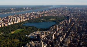 http://newyork.wikia.com/wiki/Main_Page