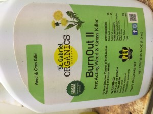 citrus oil and clove oil_burnout